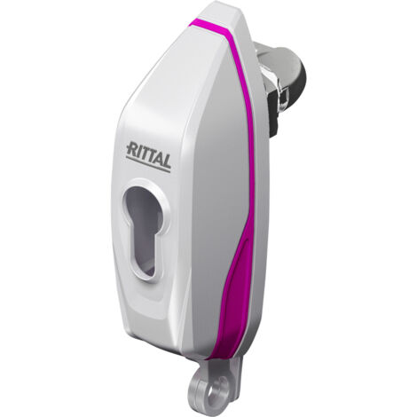 Rittal AX 2537.300 Handgriff  Lichtgrau  1 St.