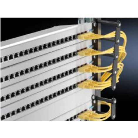 Rittal DK 7111.224 Portacavi per rack