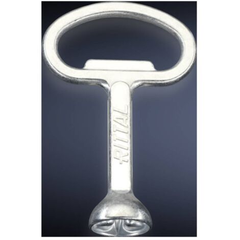Rittal HD 2549600 Chiave per armadio elettrico Doppio pettine Acciaio 1 pz.