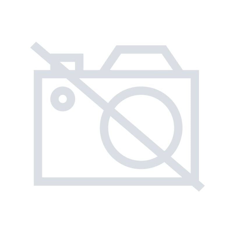 Sk 3237.300 Filtre d'échappement (l x h x p) 116.5 x 116.5 x 33.2 mm 1 pc(s) - Rittal