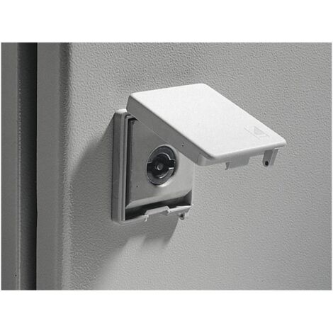Rittal SZ 2476.100 2476100 Couvercle pour boîtier de serrure plombable Polyamide gris 2 pc(s)
