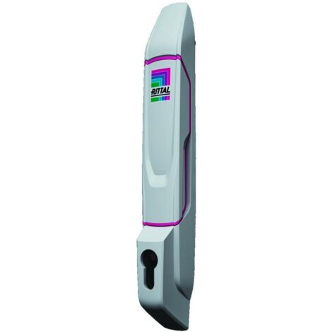 Rittal VX 8618.250 Komfortgriff für Profilhalbzylinder Lichtgrau (RAL 7035)  1 St.