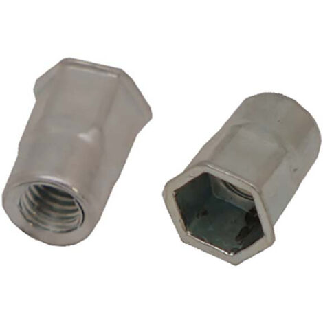 Rivet Acier Gris longueur 12mm diamètre 6.9mm M5 ( Prix pour Sachet de 100 )