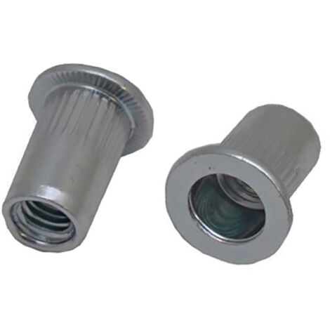 Rivet Acier Gris longueur 15.5mm diamètre 8.9mm M6 ( Prix pour Sachet de 100 )