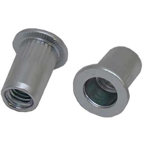 Rivet Acier Gris longueur 23.5mm diamètre 10.9mm M8 ( Prix pour Sachet de 50 )