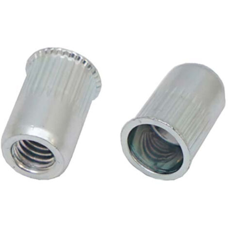 Rivet Acier Gris longueur 9mm diamètre 4.9mm M3 ( Prix pour Sachet de 100 )