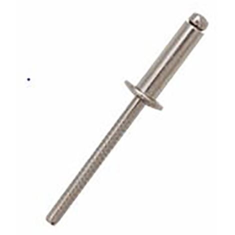 Rivet Acier InoxydableA4 316 Gris longueur 12mm diamètre 4.8mm ( Prix pour Sachet de 100 )