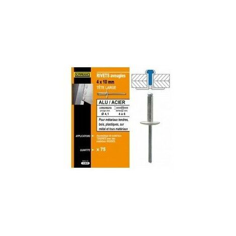 Rivet Alu/acier T Larg 4x12 (75)7631811