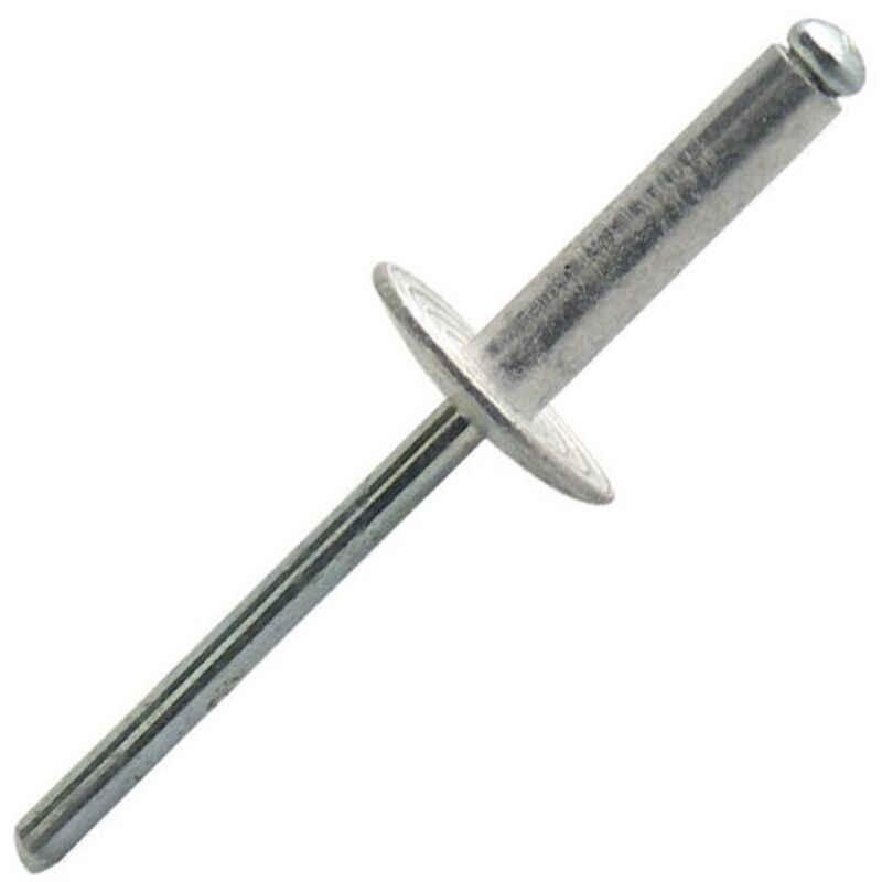 Scell-it - 250 rivets aveugles alu/acier tel, d. 4.8 x 14 mm - ASX4814