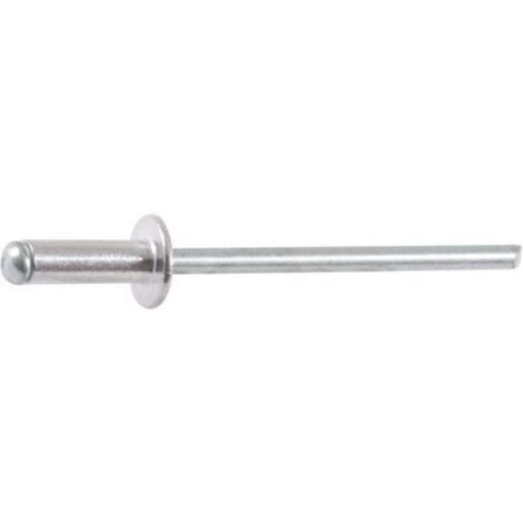 Rivet aveu.ag5 TL 3,2 x 8 / 500