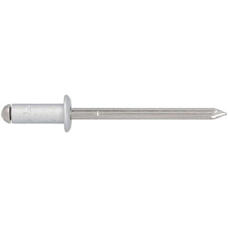 Rivet aveugle PolyGrip alu/Nirosta Ø 4x10, RAL 9006 blanc aluminium