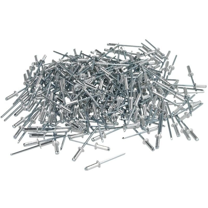 Le Sanitaire - Rivet aveugle à tête plate alu/acier 4,8 x 40 mm