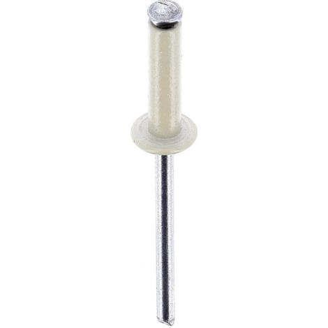 rivet épanoui blanc ø 4 x 16 mm plaque d'immatriculation