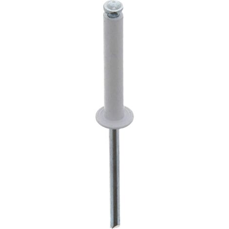 rivet épanoui blanc ø 4 x 26 mm plaque d'immatriculation