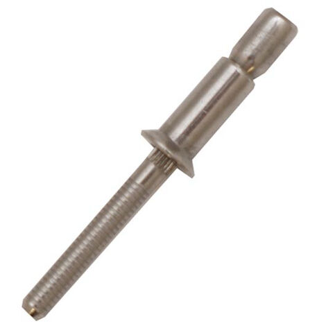 Rivet Gris longueur 22mm diamètre 10.5mm ( Prix pour Sachet de 50 )