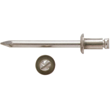 Rivet Inox Bralo Tp 4x8 Rivet Aveugle Inox-inox Tête Plate Bralo - Bralo