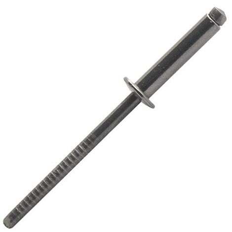 Rivet inox tête plate 4,8X12 boîte de 250 - SCELL-IT - BTD4812