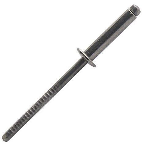 RIVET INOX TÊTE PLATE 48X16 BOÎTE DE 250 - SCELL-IT - BTD4816