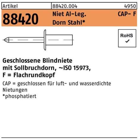 Rivet POP R 88420 Flachrundkopf