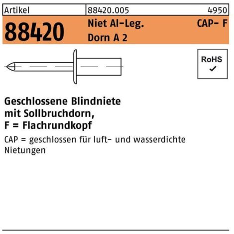 Rivet POP R 88420 Flachrundkopf