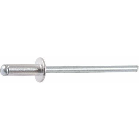Rivet tête plate - Diamètre 3 mm - 10 mm - Boîte de 500 - Rifix