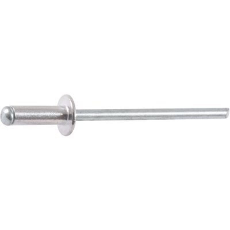 Rifix - Rivet tête large - diamètre 4,8 mm - 12 mm - Boîte de 500