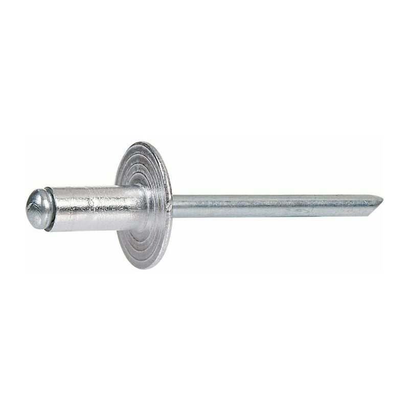 Rivet tête large - diamètre 4,8 mm - 10 mm - Boîte de 500 - Rifix