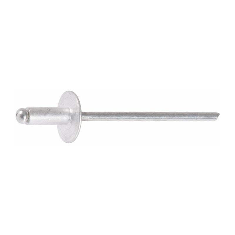 Rifix - Rivet tête large - diamètre 4,8 mm - 18 mm - Boîte de 250