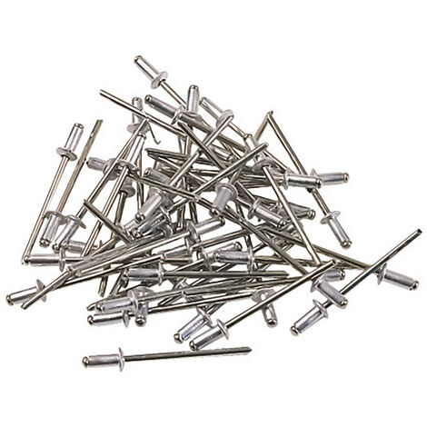 Autobest – Lot de 200 rivets en aluminium – 4 diamètres 2,4/3,2/4/4,8 mm – 50 rivets par diamètre – Pour assemblage métal et plastique