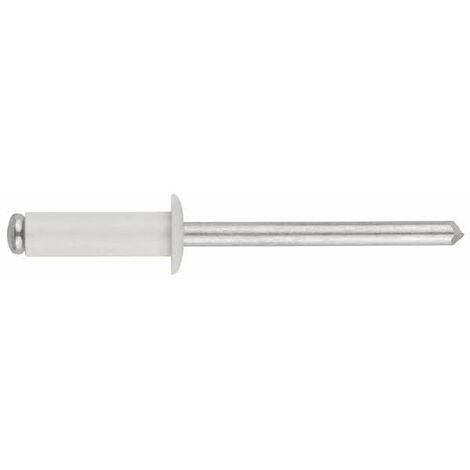 Rivets Tête bombée laquée blanc - Aluminium 4,8 x 12 9003 - Boite de 500