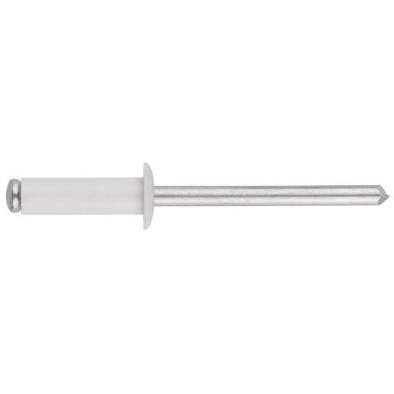 Rivetti a testa bombata laccati bianchi - Alluminio 4,8 x 12 9003 - Confezione da 500 pezzi