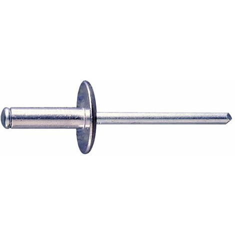 Boite de 250 rivets pop multi serrage de 4.8x25 a tete extra large 16mm