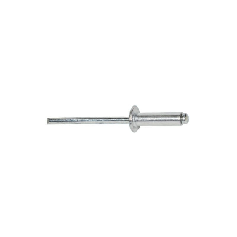 Rivetti brixo inox 4,8X14 CF.100PZ