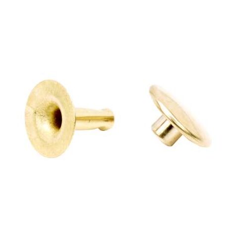 Rivetti Maschio/Femmina Ottonati Mm.33