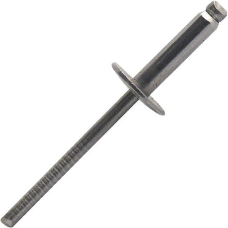 Rivetti standard testa extra large inossidabile A2 BTX Ø4x13mm - Confezione da 1000