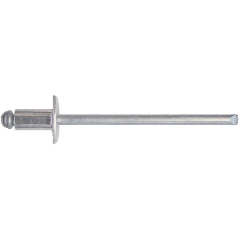 Rivetto inox bl 100pz 4,8x16