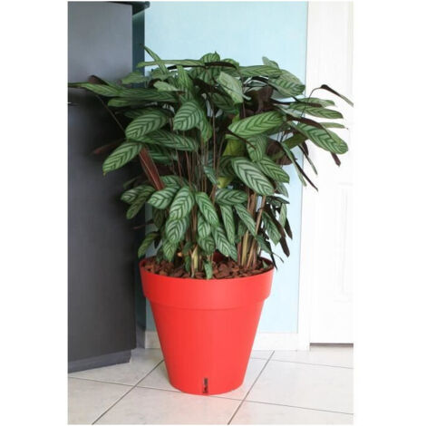 RIVIERA Vaso da fiori Loft con riserva d'acqua - Rotondo - Ø 50 x H 46 cm - Rosso