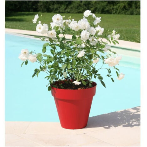 RIVIERA Vaso da fiori Soleilla - Rotondo - O 39,2 x 35,8 cm - Rosso