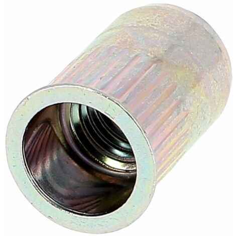 RIVKLE® + Tête Affleurante Fut Ouv.Mol.Cr. M10 Ep.0.7-3.5 Zingué