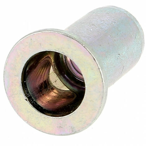 RIVKLE® Tête Plate Fut Cyl.Ouvert M4 Bichromaté. Ep. 1 A 2