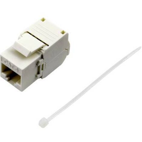 RJ45 femelle CAT 6 TRU COMPONENTS 93038C369 RJ45 femelle, droit blanc 1 pc(s) S935421