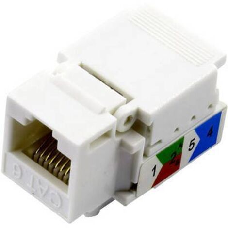 RJ45 femelle CAT 6 TRU COMPONENTS 93038C373 RJ45 femelle, droit blanc 1 pc(s) S935431