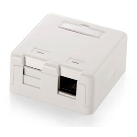 Rj45 Rosette Oberfläche Leer 2 Buchsen Equip 125122