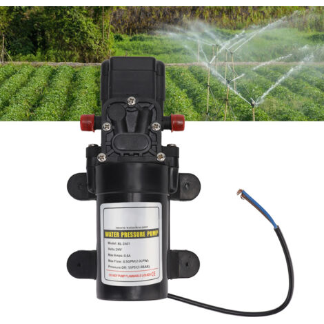 RL 2401 24V Selbstansaugende Hochdruck-Membranpumpe für den Außenbereich