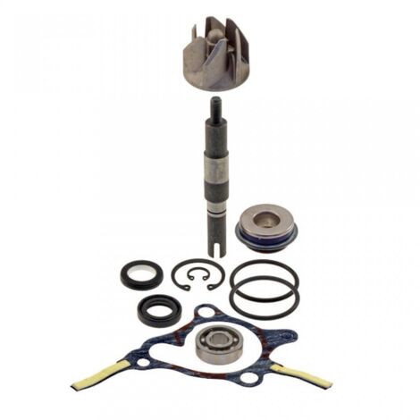 rms wasserpumpe für roller honda 250 foresight 2000 bis 2005