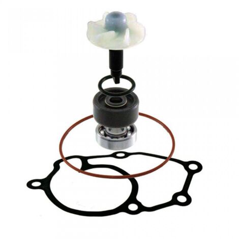rms wasserpumpe für roller yamaha 125 xcity neu