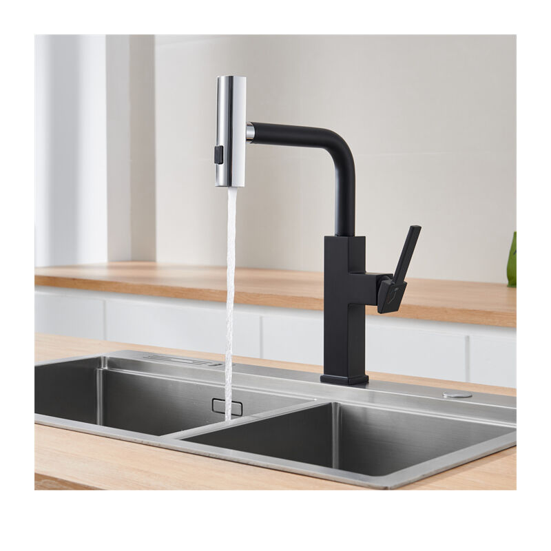Bunthaus - Robinet de Cuisine avec Douchette Extractible Mitigeur de Cuisine avec 3 Jets Rotatif 360° Mitigeur d'évier Noir Moderne en Acier Inox