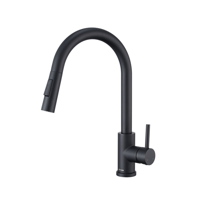 Detbom - Robinet de Cuisine avec Douchette Extractible Mitigeur Cuisine Bec Rotatif 360° Mitigeur d'Évier 2 Modes de Pulvérisation Robinet Évier en