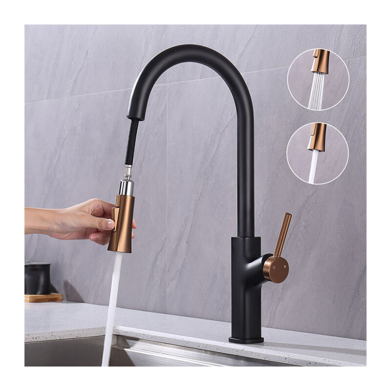 Ubeegol - Robinet de Cuisine avec Douchette Extractible Mitigeur Cuisine Bec Rotatif Mitigeur d'Évier avec 2 Jets Robinet d'évier pour Cuisine en