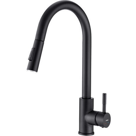 Robinet de Cuisine avec Douchette Extractible Noir mat Rotatif à 360 ° Mitigeur Cuisine d'Évier 2 Fonctions en Acier Inoxydable